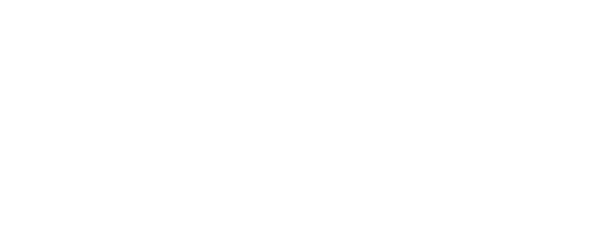 TinyVan Logo